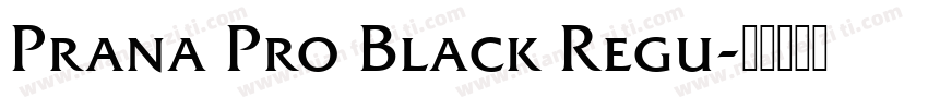Prana Pro Black Regu字体转换